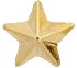 GoldStar